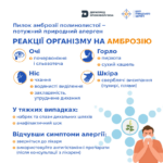 Амброзія