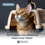 Знято карантинні обмеження щодо сказу тварин