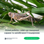 Осінні роботи – ключ до знищення сарани та запобігання її поширенню