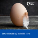 Сальмонельоз: що важливо знати
