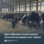 Ідентифікація та реєстрація сільськогосподарських тварин