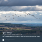 29.10.2025 Грип птиці: як уникнути захворювання на подвірних господарствах і в мисливських угіддях