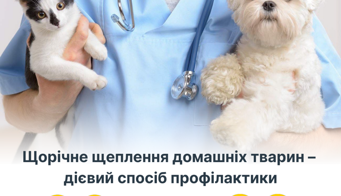 Щорічне щеплення домашніх тварин – дієвий спосіб профілактики