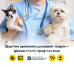 Вимоги до – 2025-10-08T201912.051 Щорічне щеплення домашніх тварин – дієвий спосіб профілактики