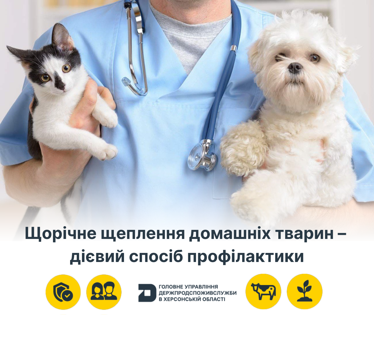 Щорічне щеплення домашніх тварин – дієвий спосіб профілактики