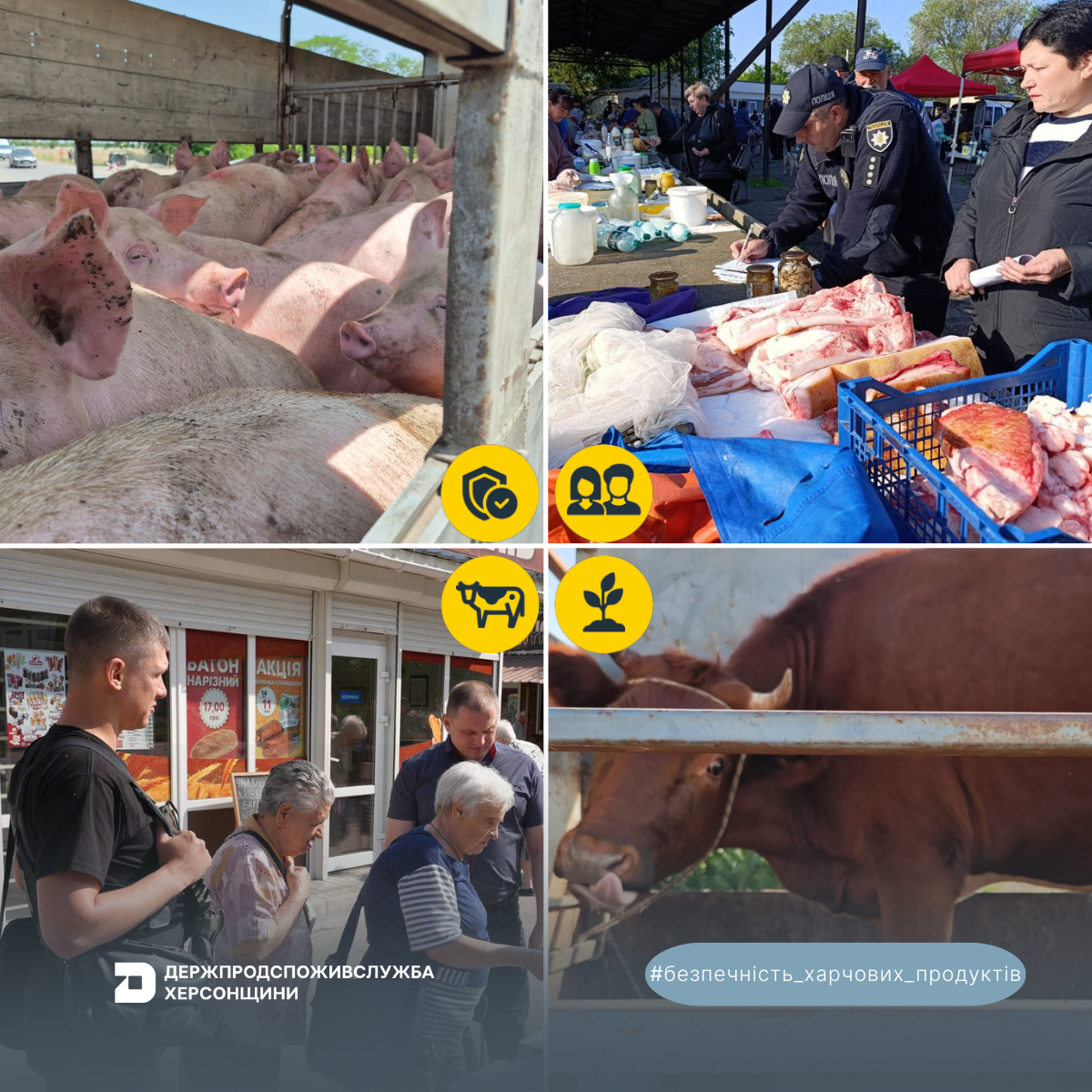 Реалізація державної політики у сфері безпечності харчових продуктів та ветеринарної медицини: результати за 9 місяців 2025 року