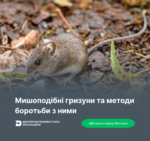 Вимоги до – 2025-10-21T233535.392 Мишоподібні гризуни та заходи боротьби з ними