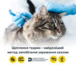 Вимоги до – 2025-10-27T100041.162 Щеплення тварин – найдієвіший метод запобігання зараження сказом