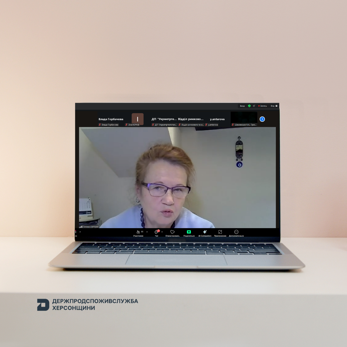 Спеціалісти Держпродспоживслужби Херсонщини долучилися до вебінару щодо безпечності дитячих іграшок