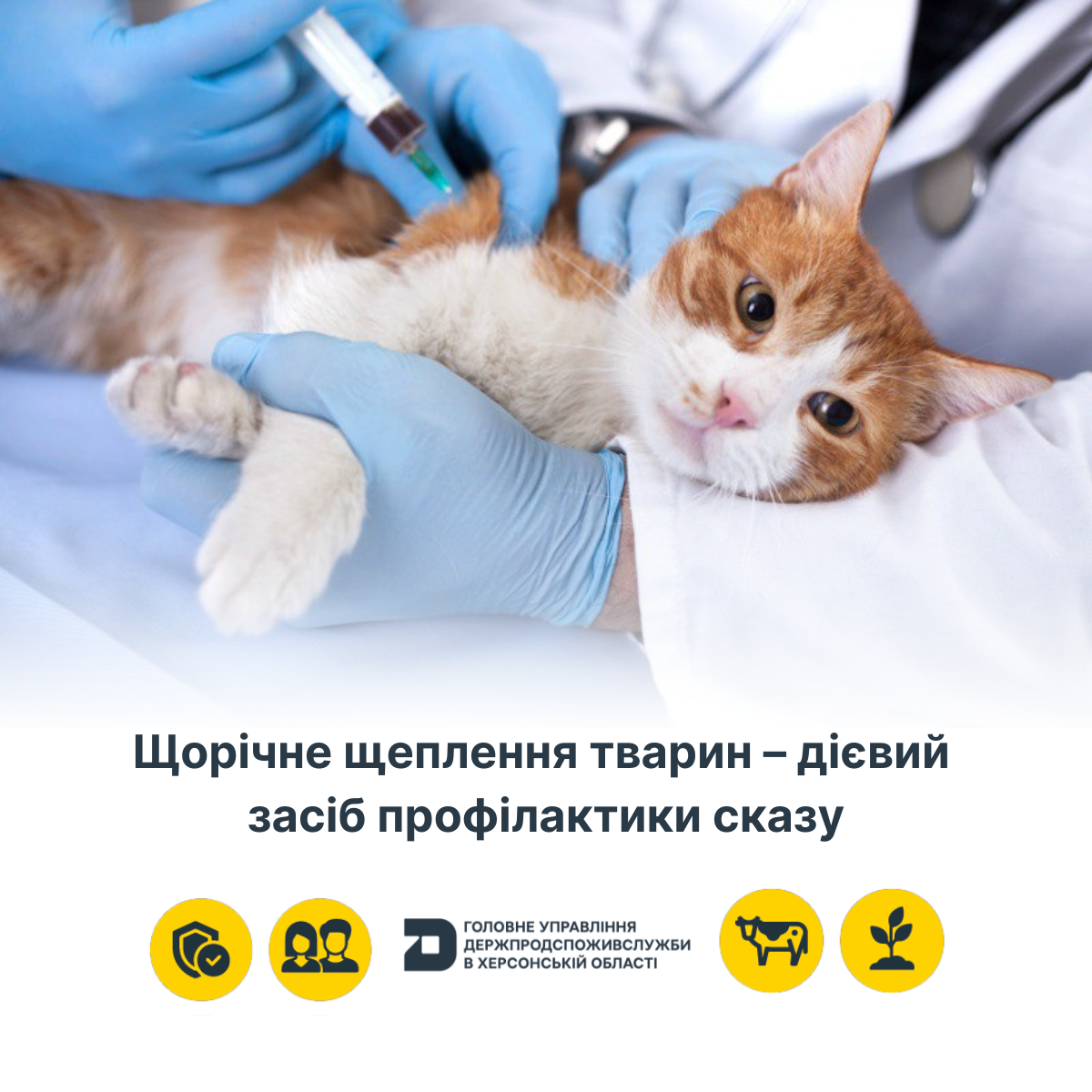 Щорічне щеплення тварин – дієвий засіб профілактики сказу