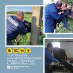 Ідентифікація сільськогосподарських тварин – обов’язок кожного власника