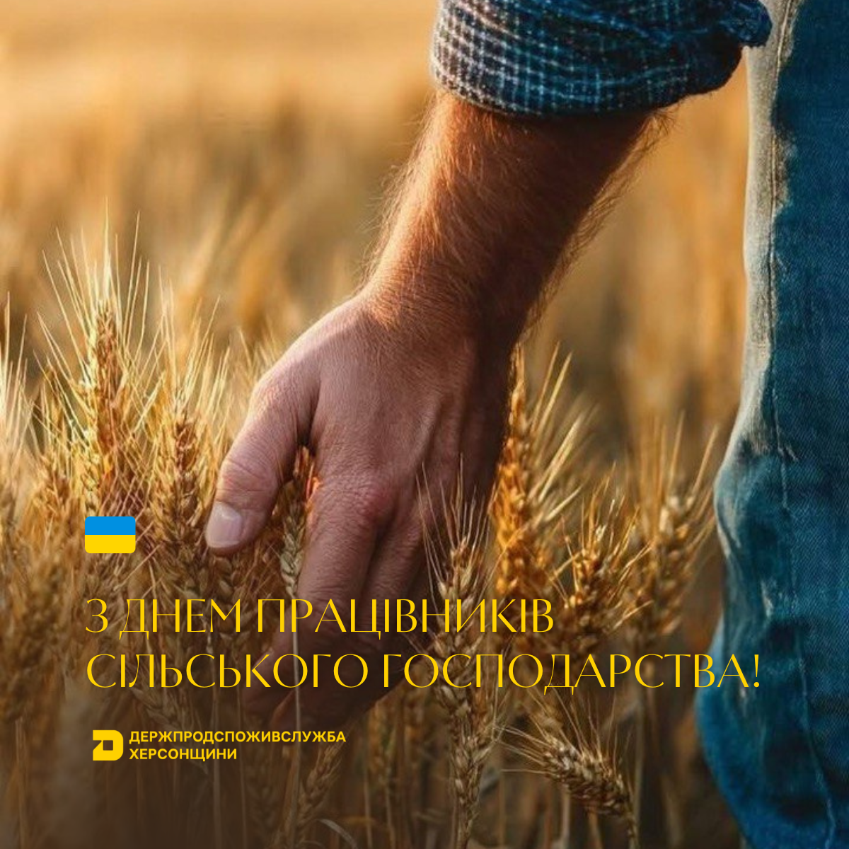 16 листопада – День працівників сільського господарства