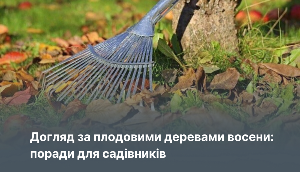 Догляд за плодовими деревами восени: поради для садівників