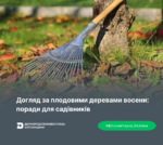 Догляд за плодовими деревами восени: поради для садівників