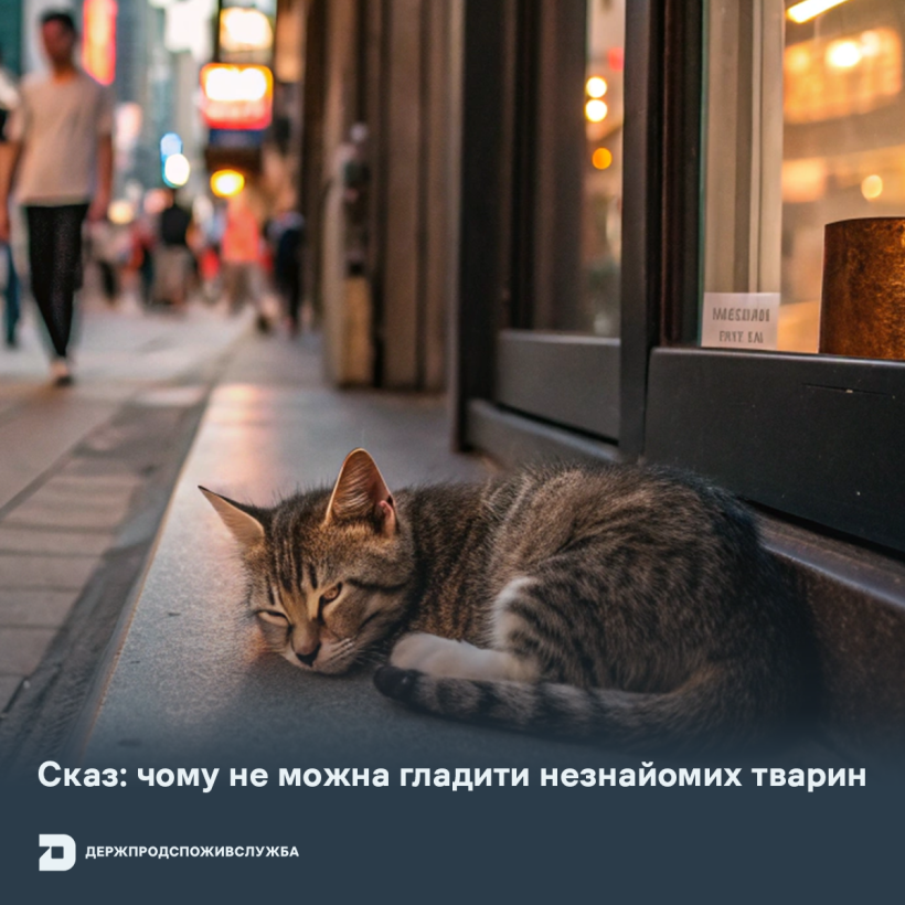 Сказ: чому не можна гладити незнайомих тварин