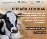 Нові вимоги вже близько: онлайн-семінар для промислових господарств щодо благополуччя ВРХ