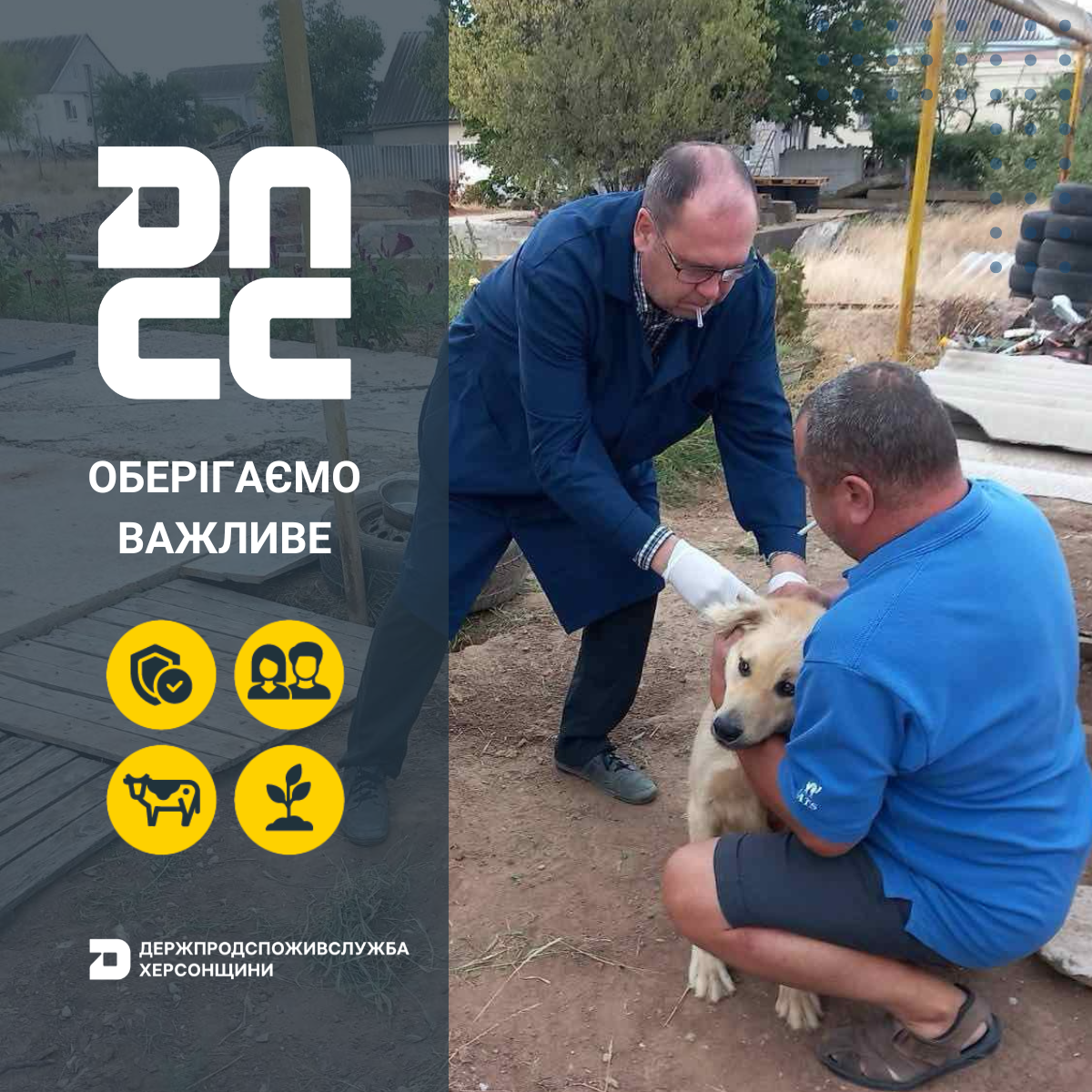 Зупинимо сказ разом!