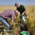 Держпродспоживслужба Херсонщини сприяє розвитку експортного потенціалу аграрного сектору регіону