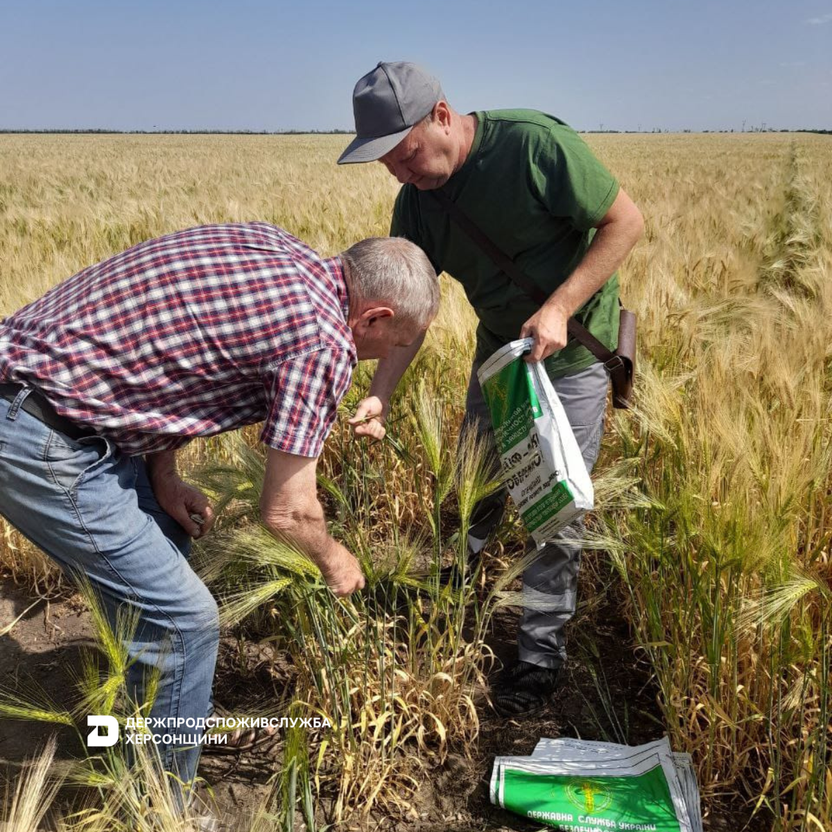 Держпродспоживслужба Херсонщини сприяє розвитку експортного потенціалу аграрного сектору регіону