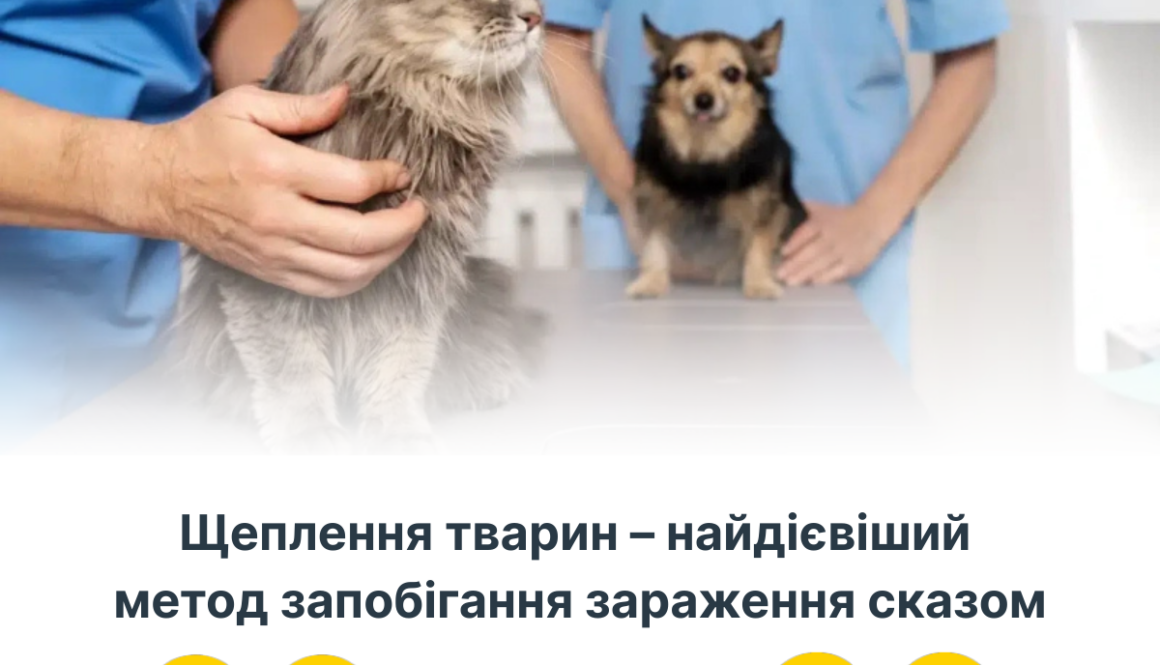 Захист від сказу: чому важлива вакцинація вашого улюбленця?
