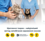 Захист від сказу: чому важлива вакцинація вашого улюбленця?