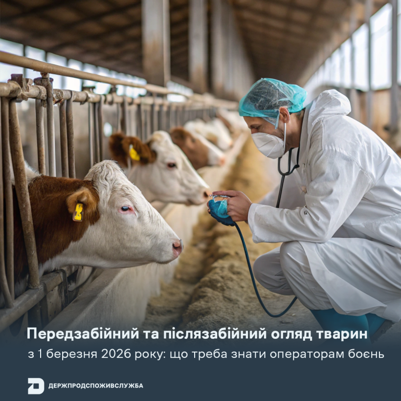 Передзабійний та післязабійний огляд тварин з 1 березня 2026 року: що треба знати операторам боєнь