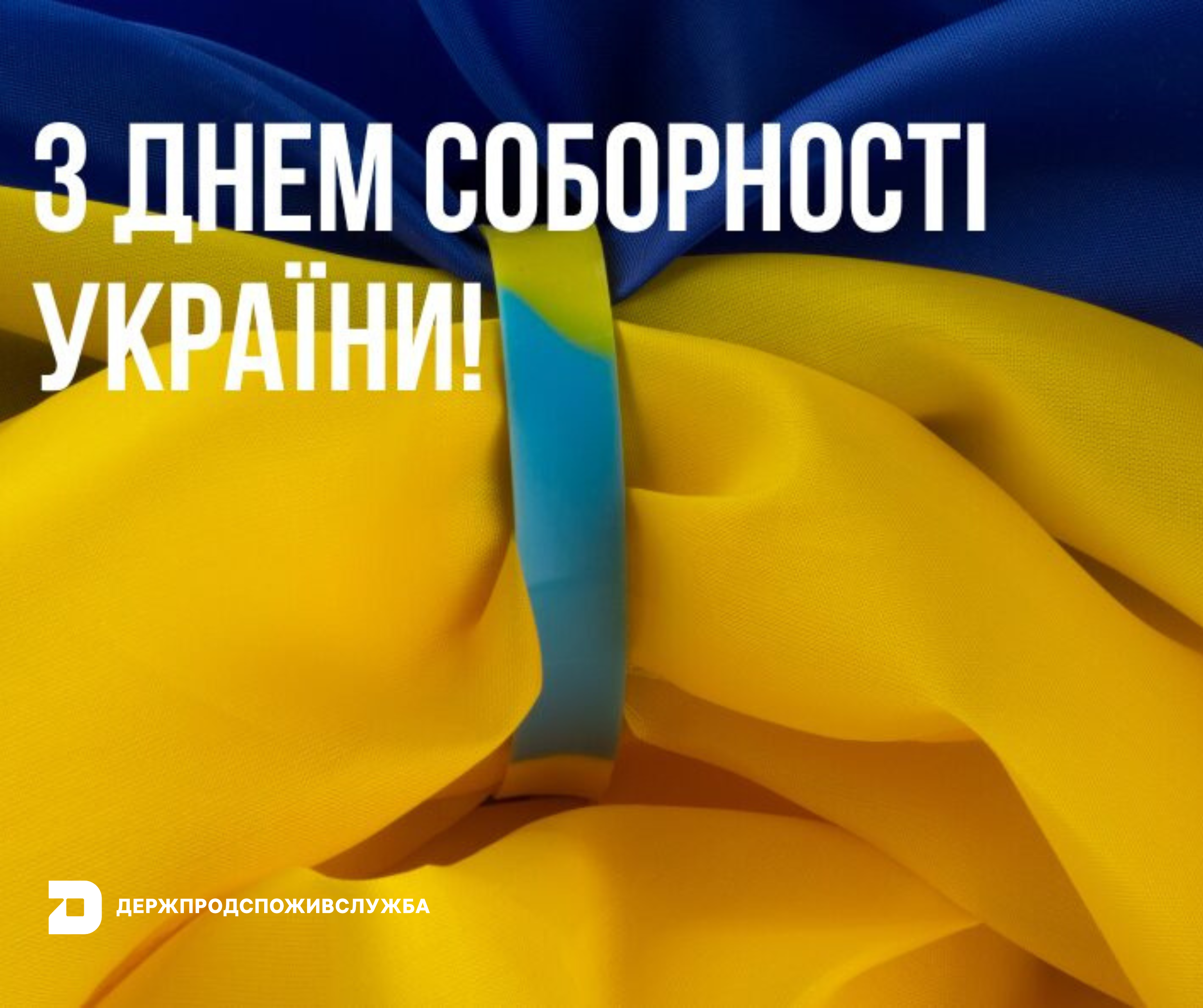 День Соборності України