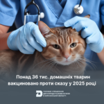 Понад 36 тис. домашніх тварин вакциновано проти сказу у 2025 році