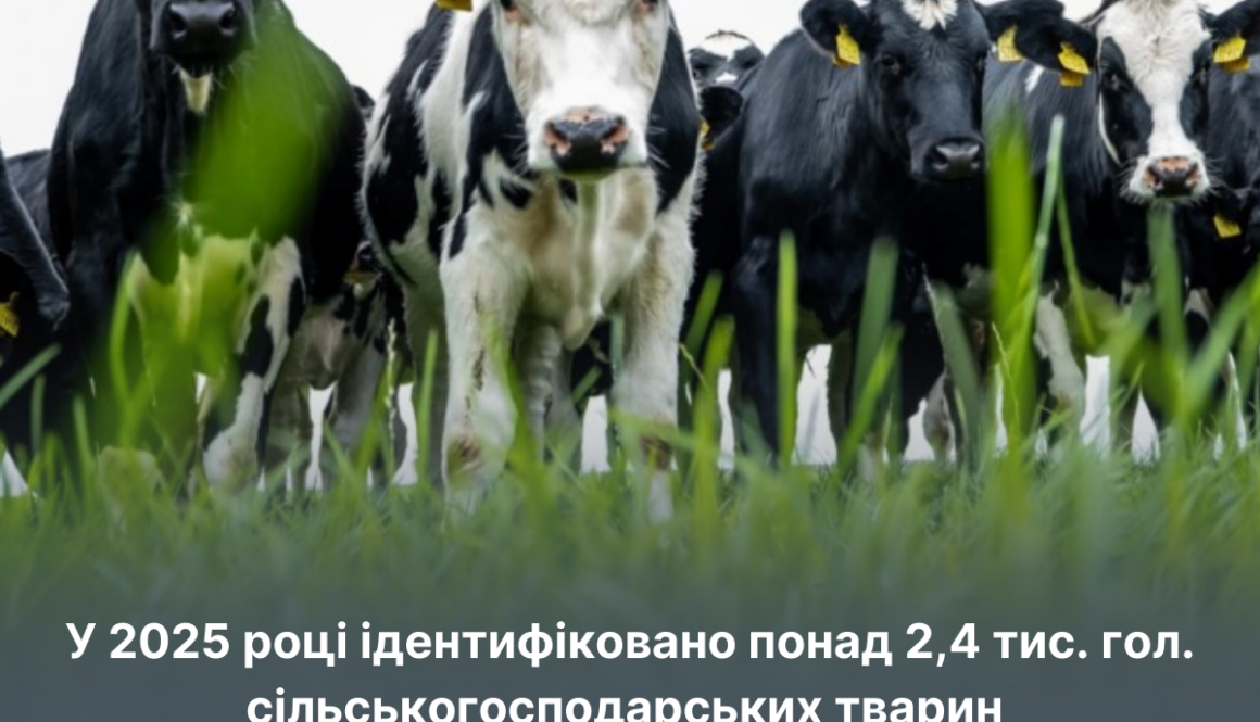 На Херсонщині понад 2,4 тис. голів сільськогосподарських тварин ідентифіковано у 2025 році