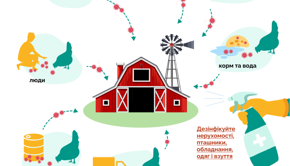 Грип птиці: шляхи потрапляння на господарства
