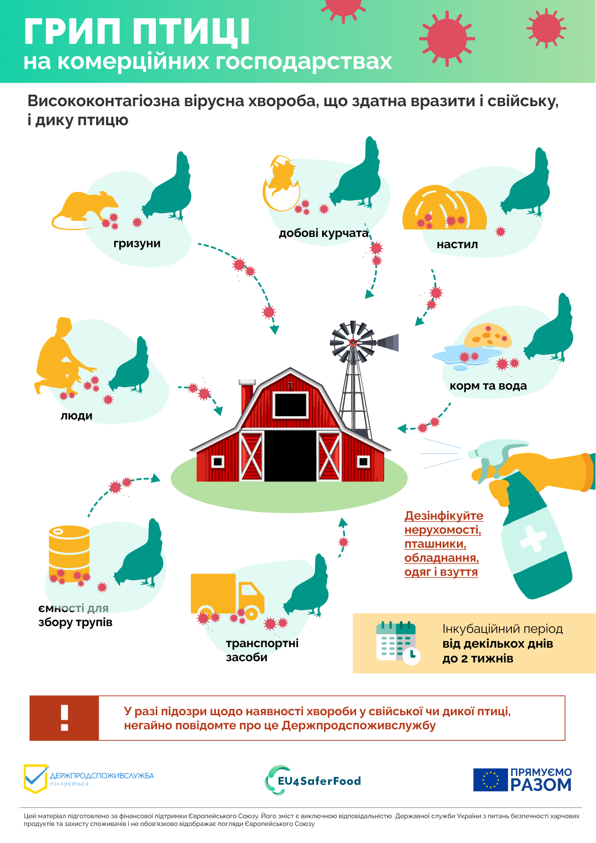 Грип птиці: шляхи потрапляння на господарства