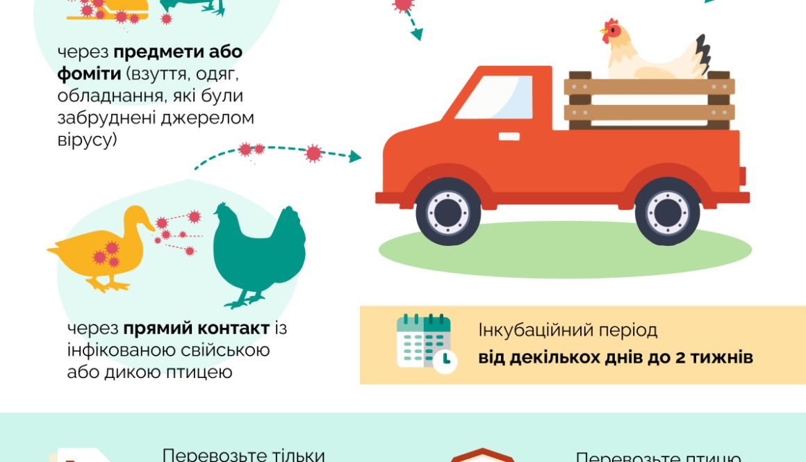 Грип птиці: як уникнути захворювання при перевезенні
