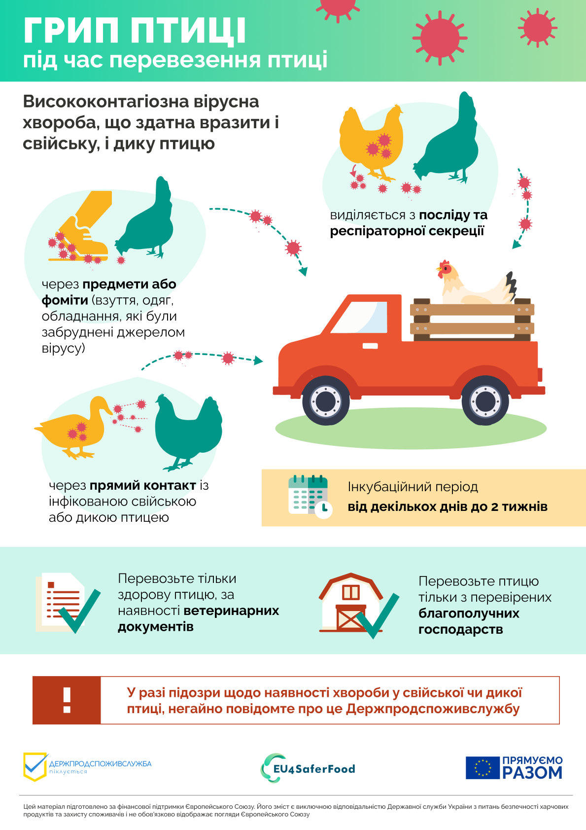 Грип птиці: як уникнути захворювання при перевезенні