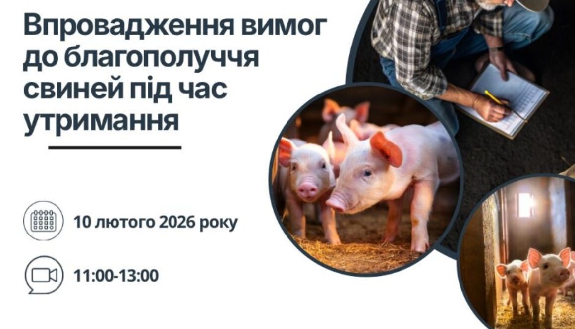 10 лютого відбудеться онлайн-семінар щодо впровадження вимог до благополуччя свиней