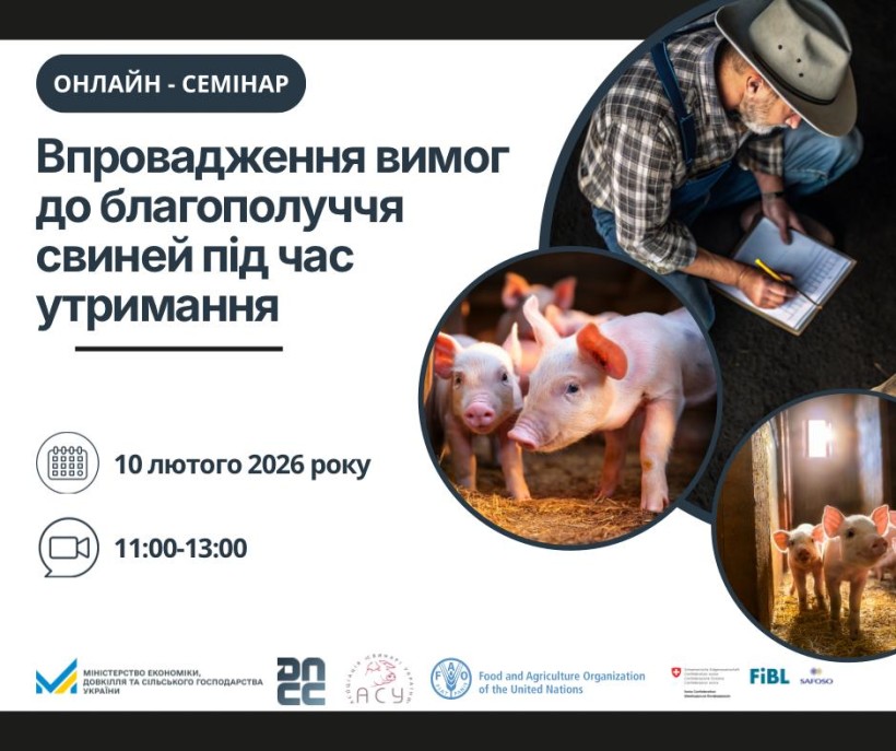 10 лютого відбудеться онлайн-семінар щодо впровадження вимог до благополуччя свиней