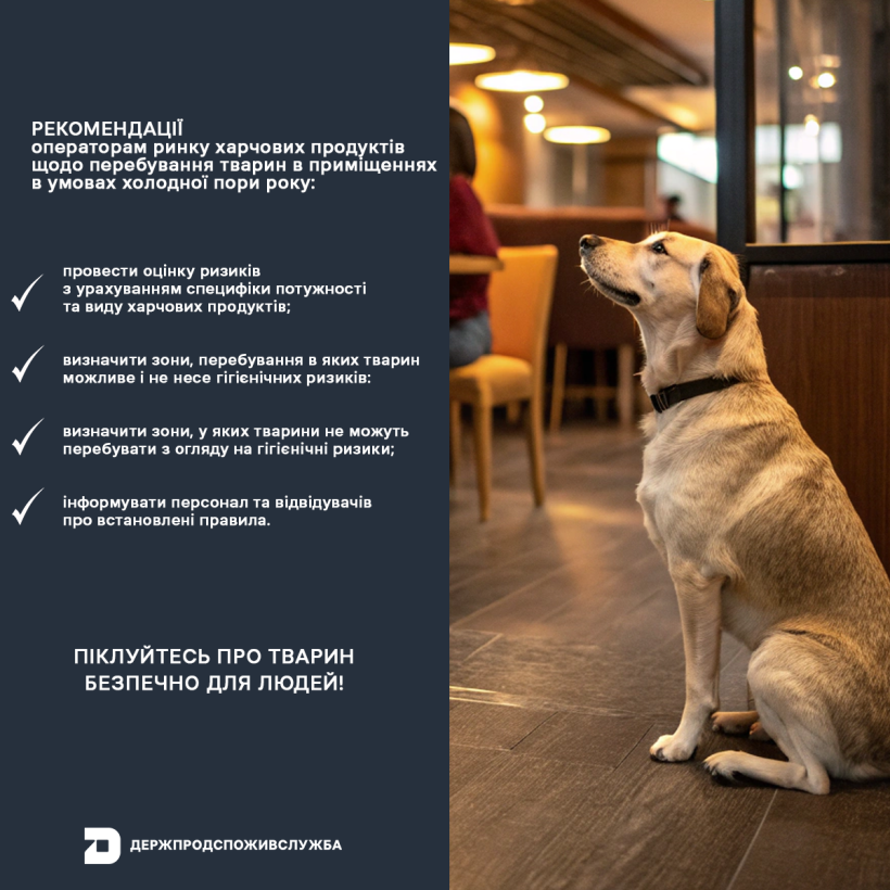 Сезонні ризики для безпечності харчових продуктів: рекомендації операторам ринку щодо допуску домашніх тварин до приміщень