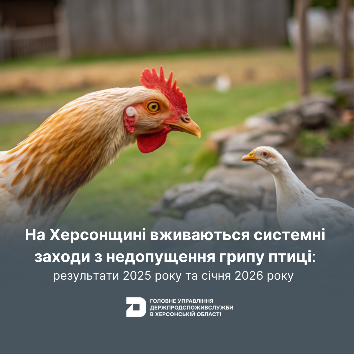 На Херсонщині вживаються системні заходи з недопущення грипу птиці: результати 2025 року та січня 2026 року