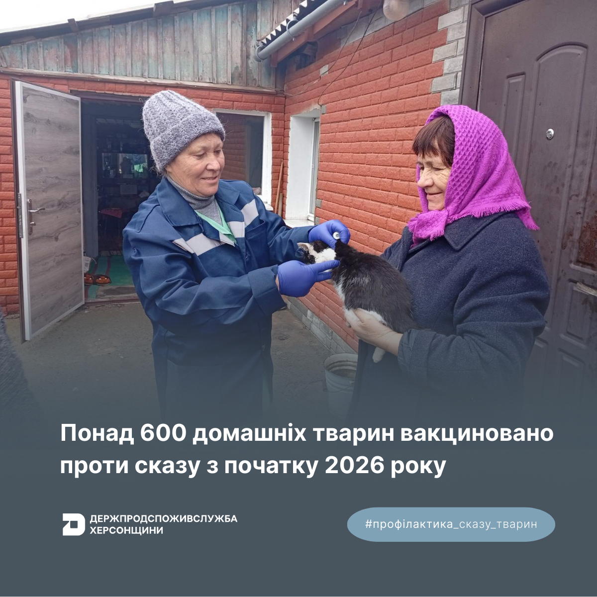 Профілактика сказу: понад 600 домашніх тварин вакциновано з початку 2026 року