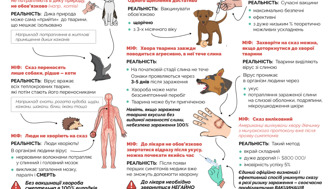Міфи та реальність про сказ: що варто знати власникам тварин