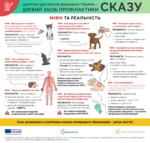 Міфи та реальність про сказ: що варто знати власникам тварин