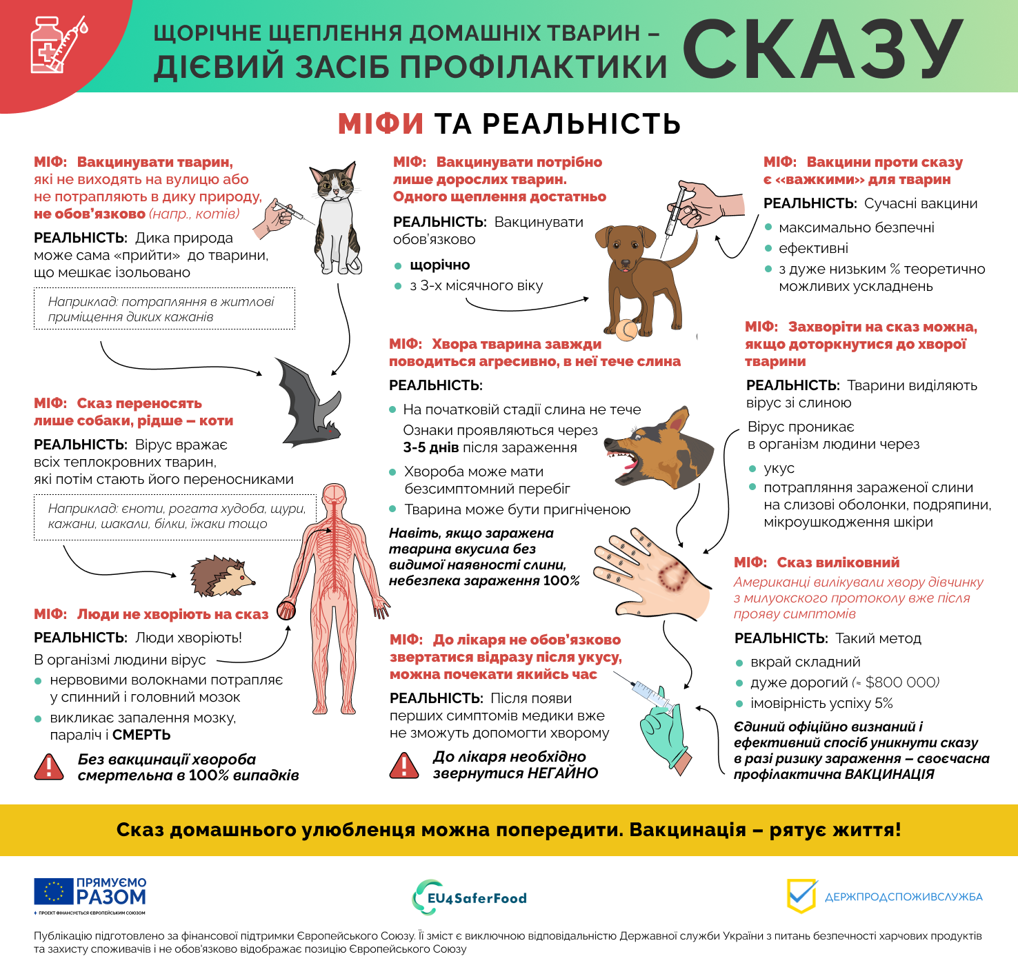Міфи та реальність про сказ: що варто знати власникам тварин
