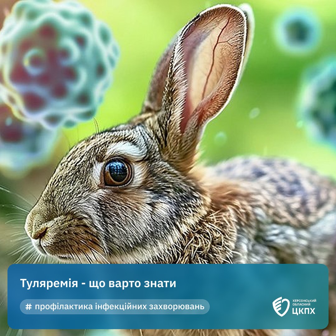 Туляремія – що варто знати