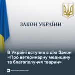 В Україні вступив в дію Закон «Про ветеринарну медицину та благополуччя тварин»