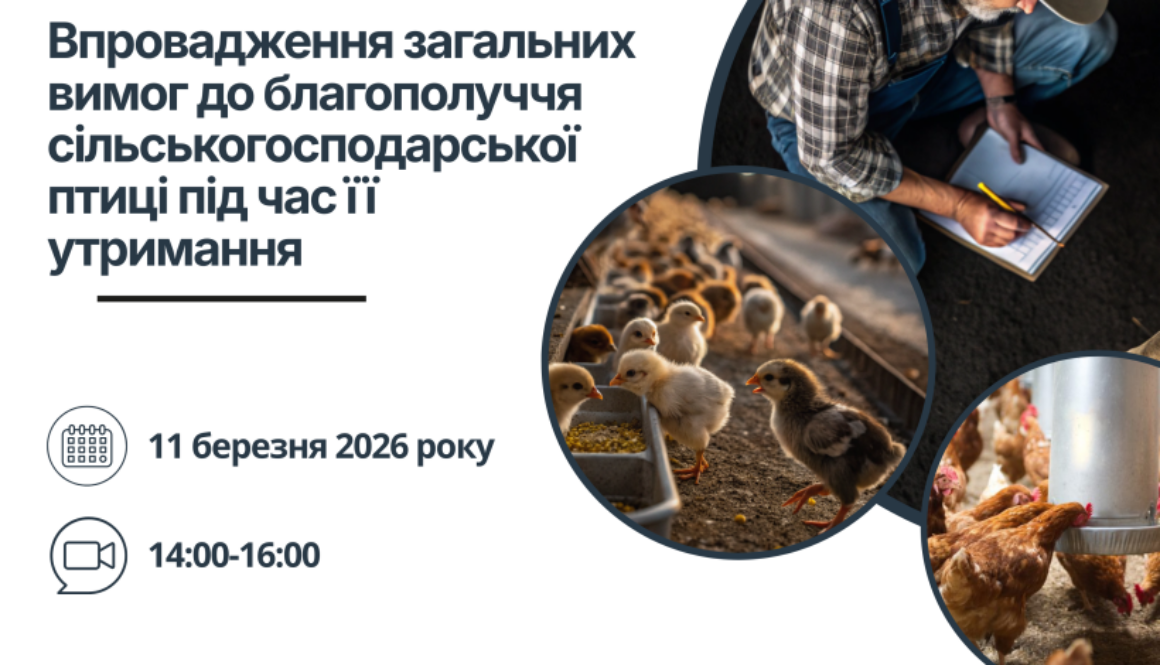 Нові правила – чіткі кроки: 11 березня відбудеться онлайн-семінар щодо благополуччя сільськогосподарської птиці