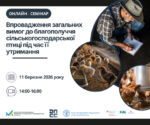Нові правила – чіткі кроки: 11 березня відбудеться онлайн-семінар щодо благополуччя сільськогосподарської птиці