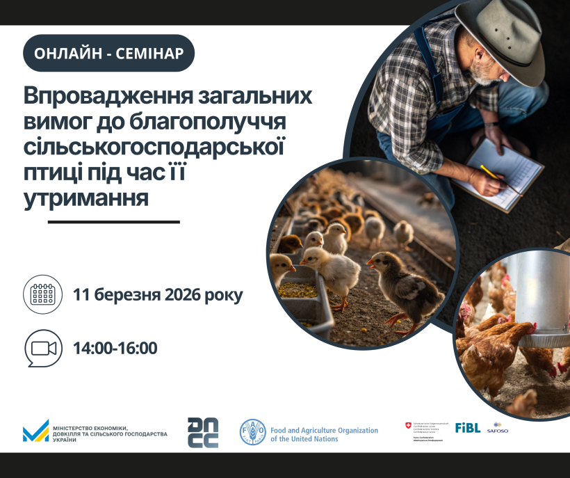 Нові правила – чіткі кроки: 11 березня відбудеться онлайн-семінар щодо благополуччя сільськогосподарської птиці