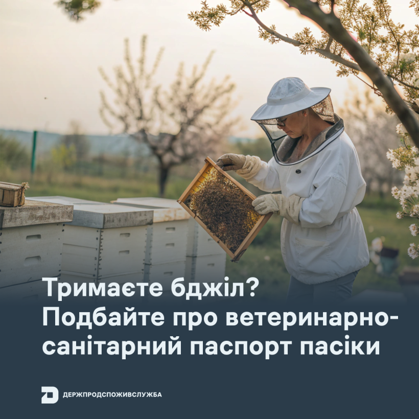 Тримаєте бджіл? Подбайте про ветеринарно-санітарний паспорт пасіки