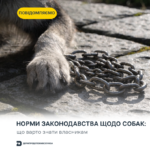 Норми законодавства щодо собак: що варто знати власникам