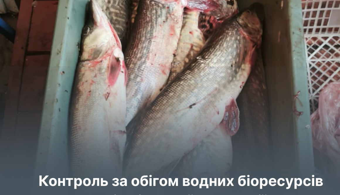 Держпродспоживслужба Херсонщини та Херсонський рибоохоронний патруль: контроль за обігом водних біоресурсів у межах міжвідомчої взаємодії