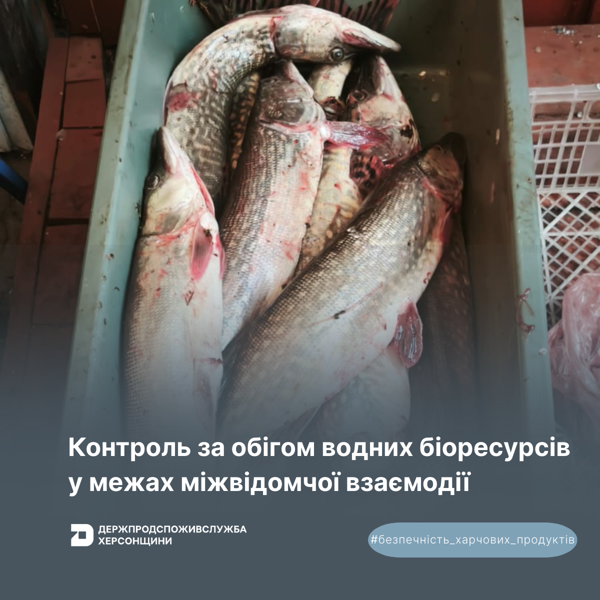 Держпродспоживслужба Херсонщини та Херсонський рибоохоронний патруль: контроль за обігом водних біоресурсів у межах міжвідомчої взаємодії